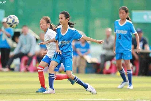 辽宁提前一轮锁定常规赛冠军 本赛季主场全胜